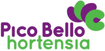 PicoBello Hortensia PicoBello Hortensia