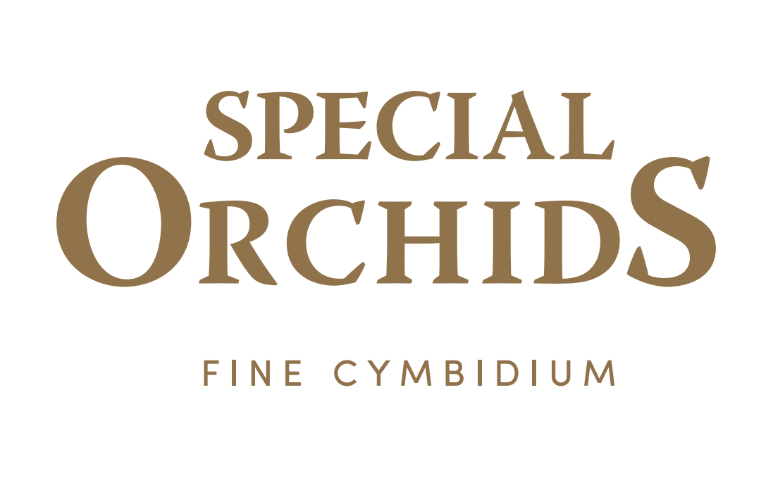 Special Orchids