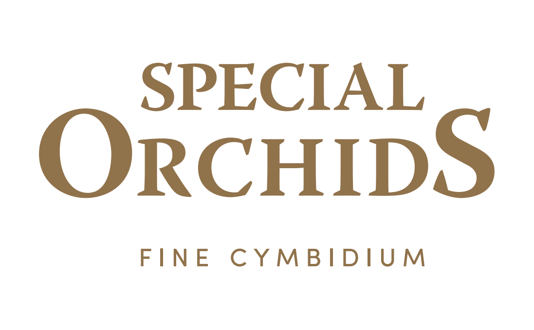 Special Orchids Special Orchids