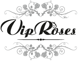 VIP Roses VIP Roses